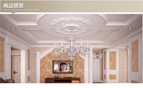 羅馬柱、羅馬柱頭系列