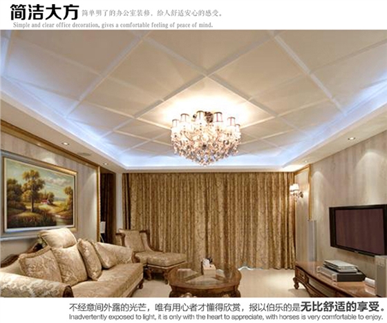 羅馬柱、羅馬柱頭系列