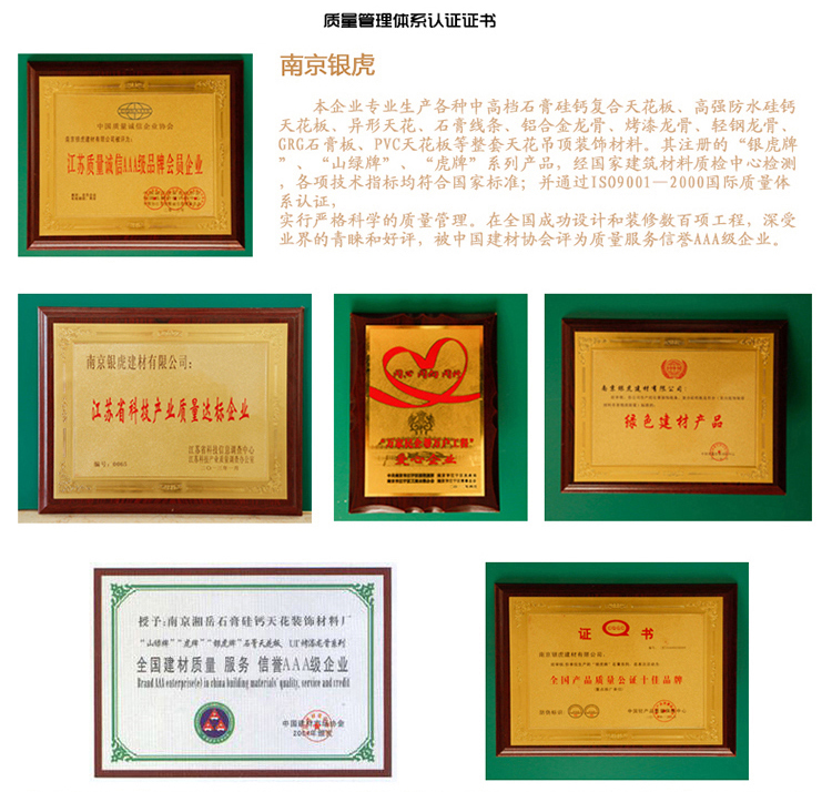 羅馬柱、羅馬柱頭系列